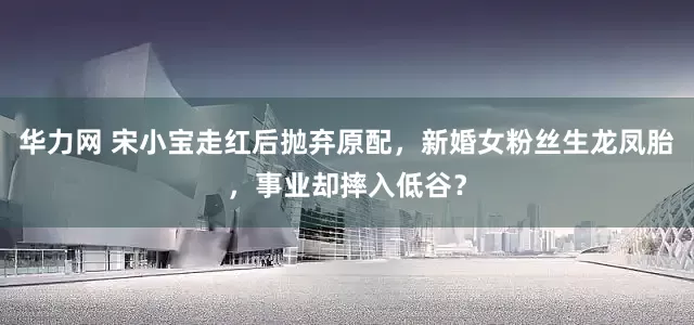 华力网 宋小宝走红后抛弃原配，新婚女粉丝生龙凤胎，事业却摔入低谷？