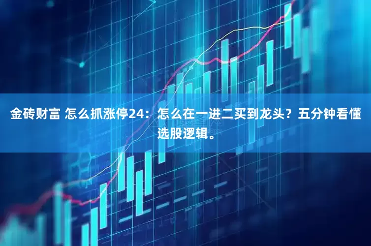 金砖财富 怎么抓涨停24：怎么在一进二买到龙头？五分钟看懂选股逻辑。